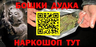 индика Обнинск