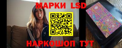 индика Обнинск
