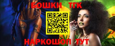 индика Обнинск