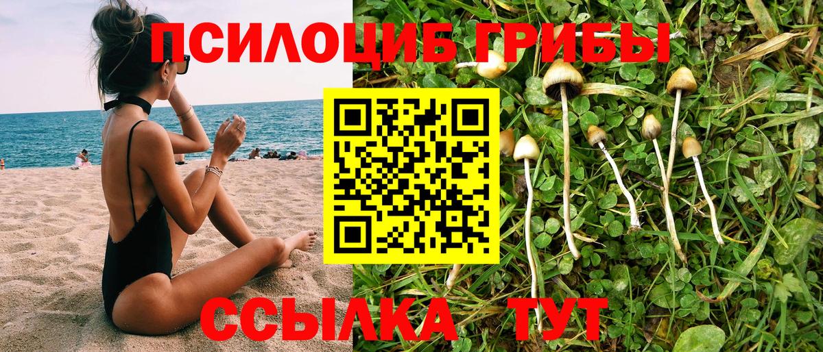 Псилоцибиновые грибы мицелий Трёхгорный