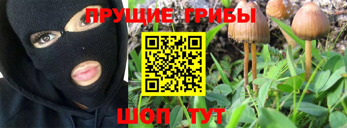 Галлюциногенные грибы Psilocybine cubensis  купить наркотики сайты  Трёхгорный  Вход с VPN 